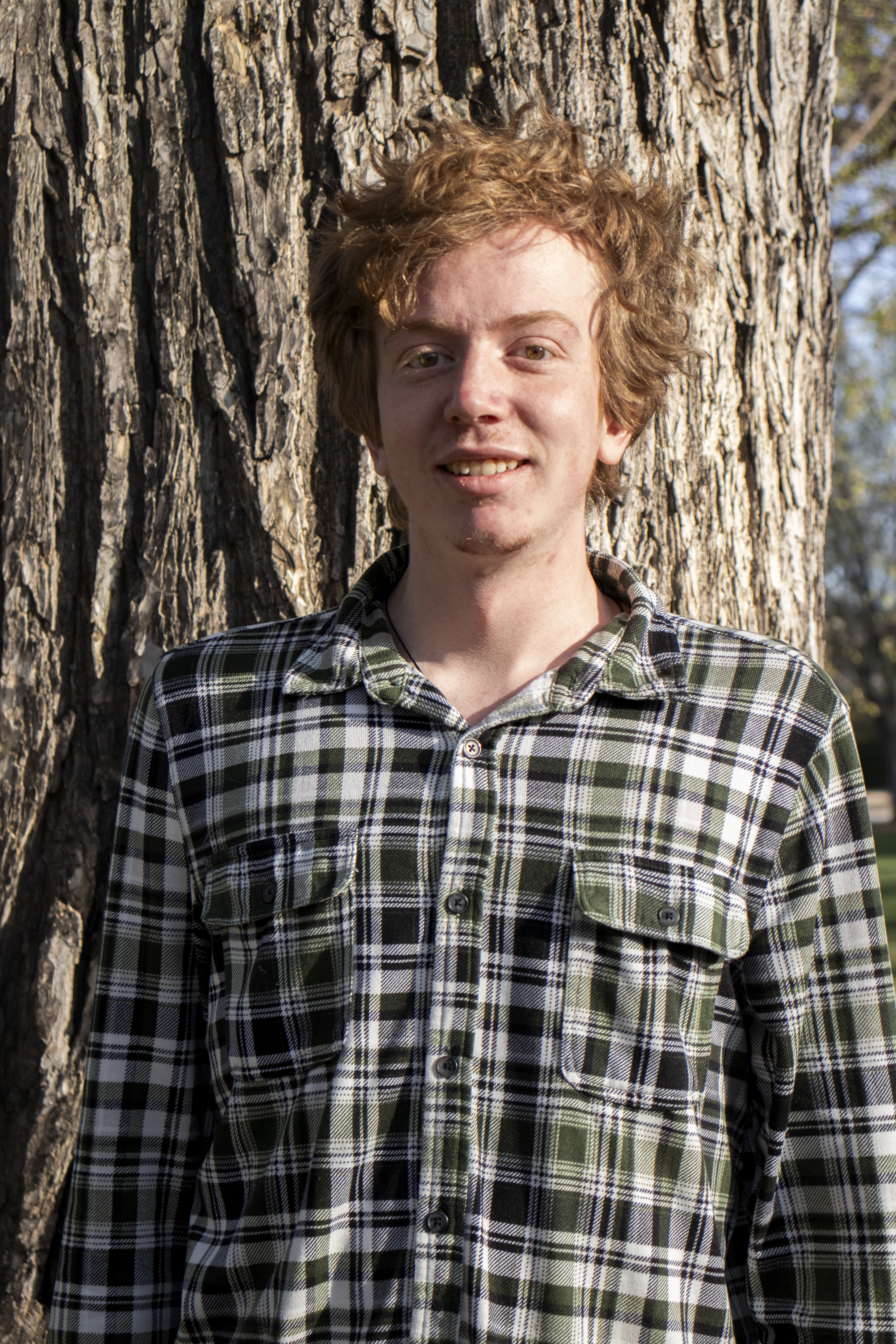 Brandon Sharp - Software